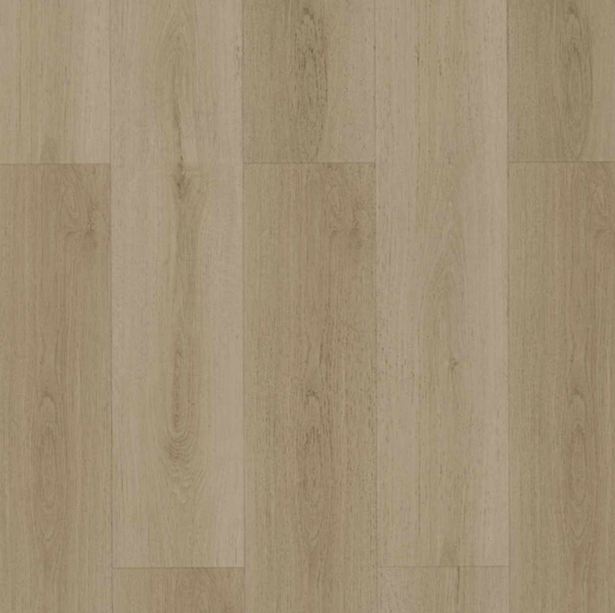 金澤原木 1215x195x(8+2mmEVA)mm